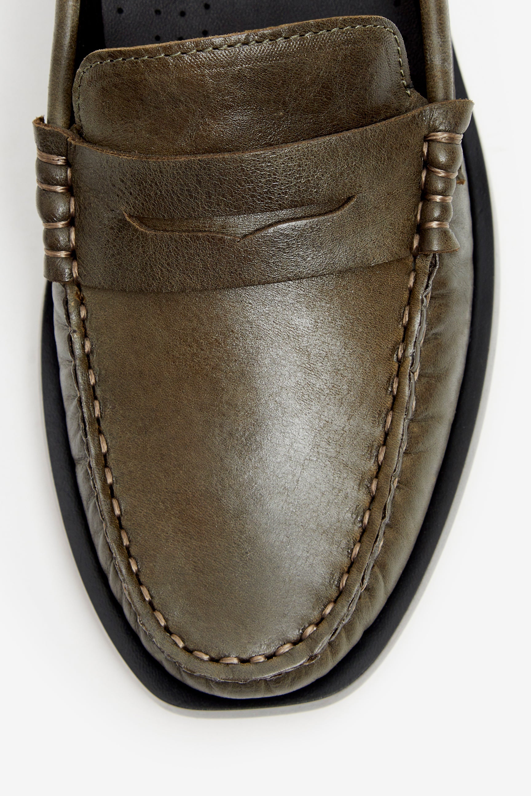 VEGA KAKI