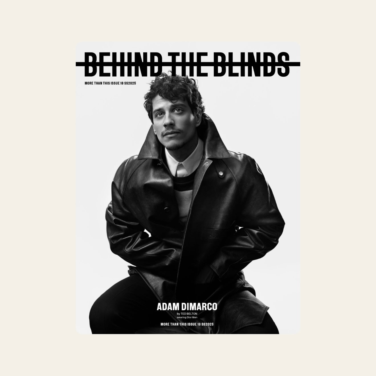 BEHIND THE BLINDS